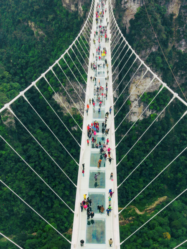Overcoming Imaginary Fear: Lessons from the Zhangjiajie Glass Bridge