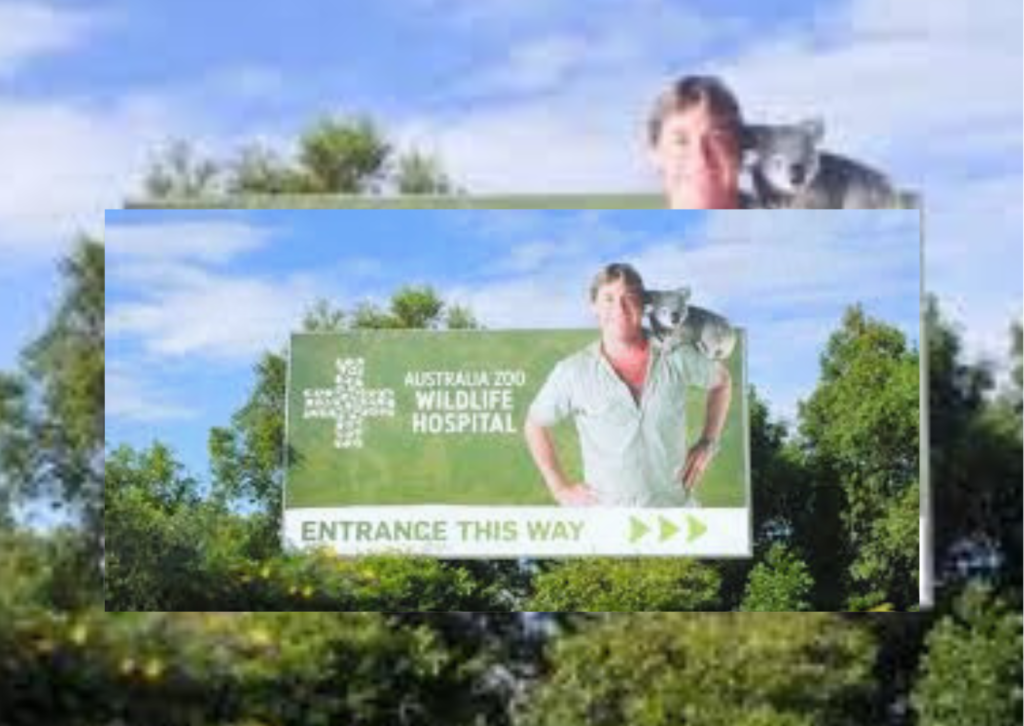 Everything to know about Robert Irwin: Steve Irwin's son, his conservation work at Australia Zoo, DWTS journey, and the Irwin family legacy.